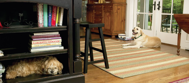 Indoor pet boundaries