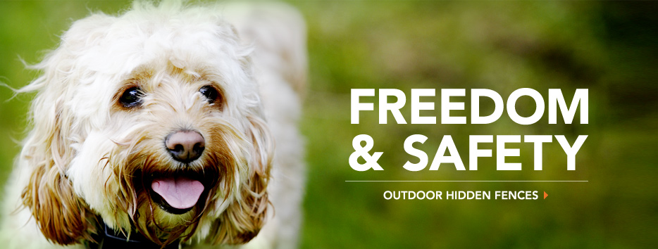 Outdoor Pet Fences