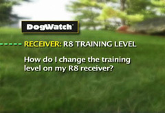 How do I change the training level on my R8 receiver?