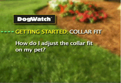 How do I adjust the collar fit on my pet?