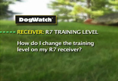 How do I change the training level on my R7 receiver?