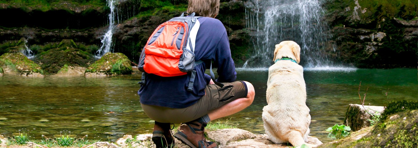 DogWatch® Hidden Dog Fences The World's Safest, Most Reliable Hidden Dog Fence… No Getting