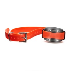 BigLeash® S-15 2nd Dog Receiver Collar Image