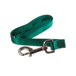 6ft Training Leash   