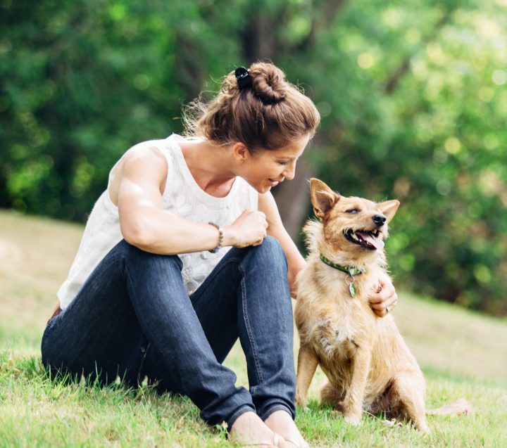 dogwatch meaning