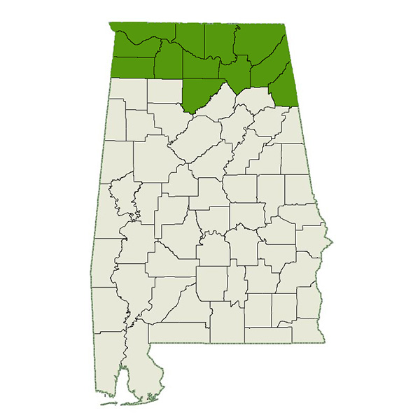 DogWatch of North Alabama Service Area