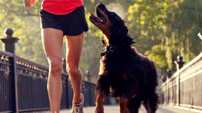 Girl going for a run with her dog on a bridge