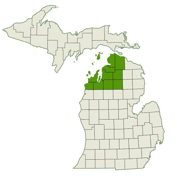 DogWatch of Northwest Michigan Service Area