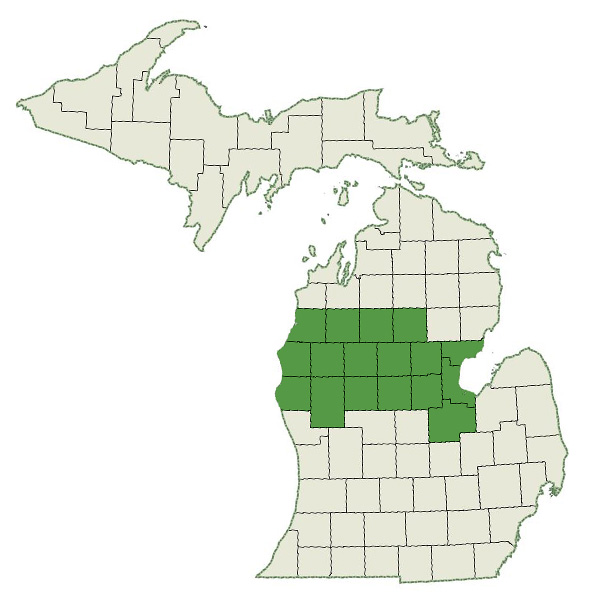 DogWatch by Great Lakes Pet Fencing Service Area