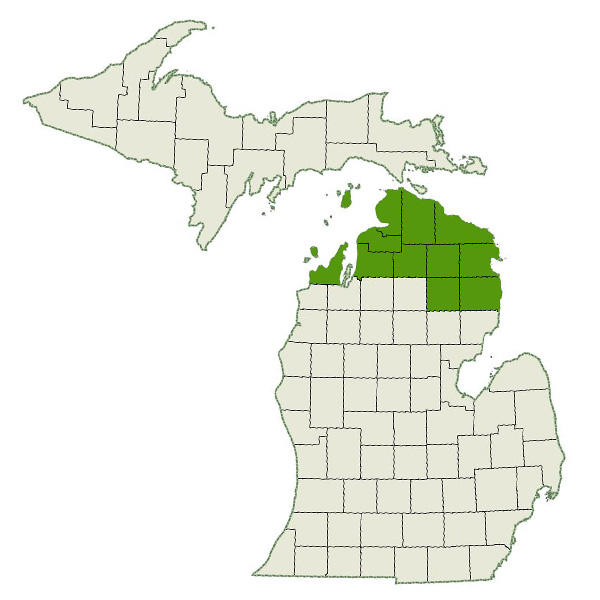 DogWatch by K9 Fencing of Michigan Service Area