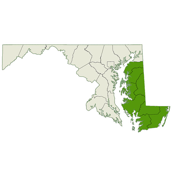DogWatch of the Eastern Shore Service Area