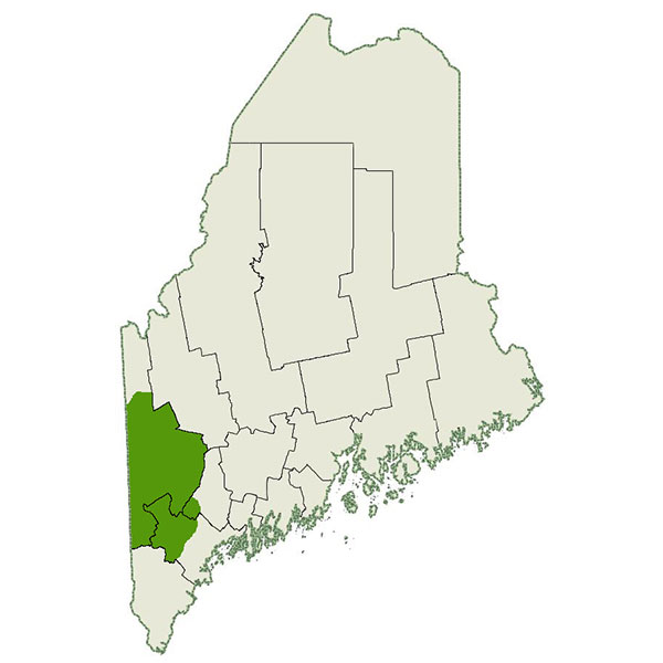 DogWatch of the Maine Lakes Region Service Area