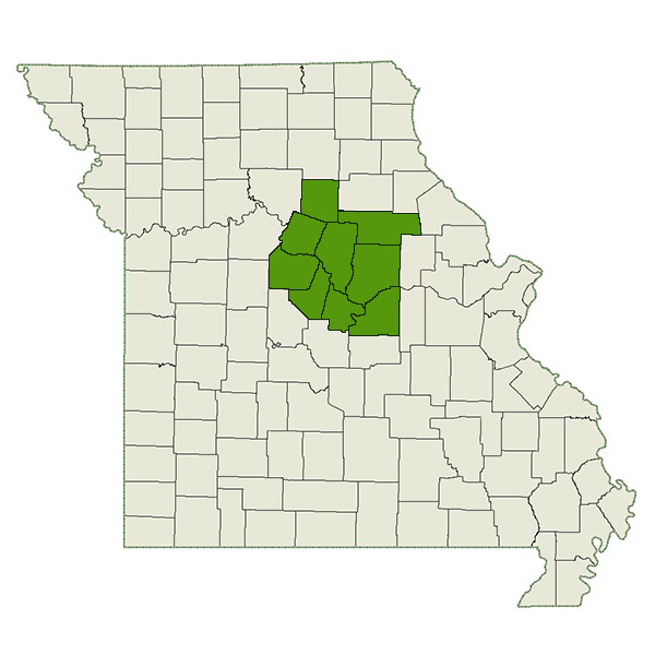 DogWatch of Mid Missouri Service Area