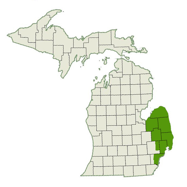 DogWatch of Metro Detroit Service Area