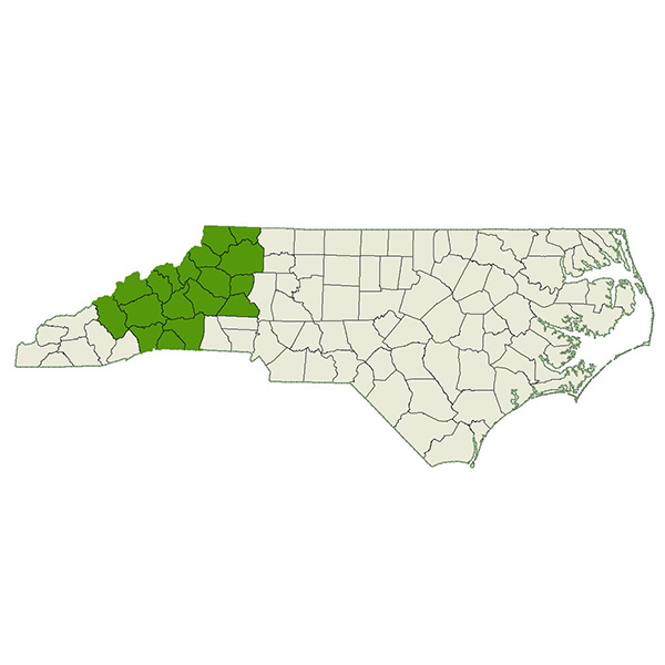 DogWatch of the Blue Ridge Mountains Service Area