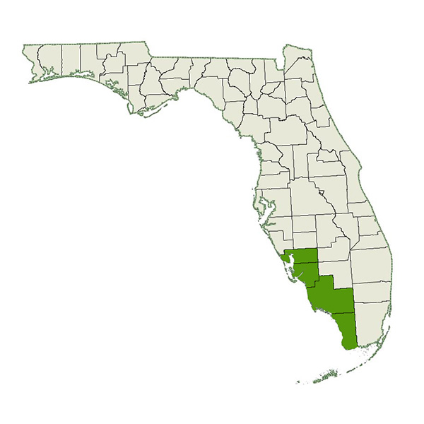DogWatch of Southwest Florida Service Area