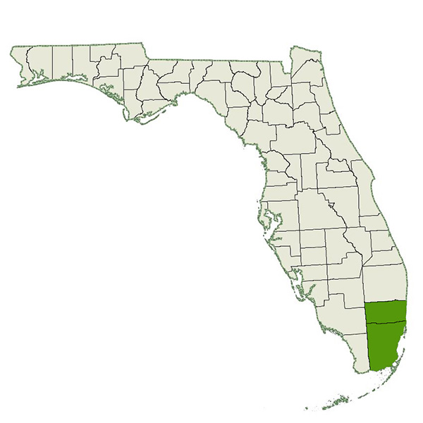 DogWatch of South Florida Service Area