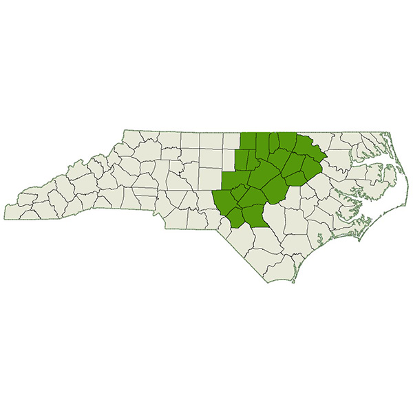 DogWatch of the Triangle Service Area