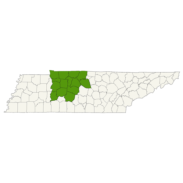 DogWatch of Nashville Service Area