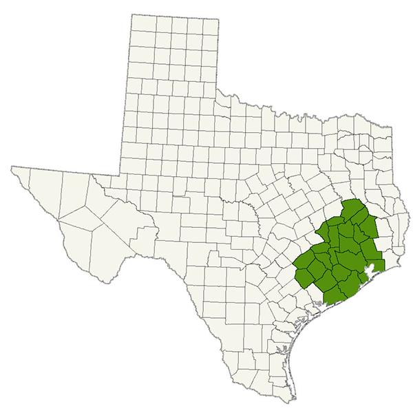 DogWatch of Houston Service Area