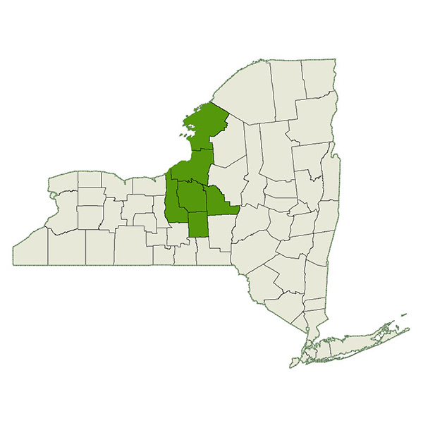 DogWatch of Central NY Service Area