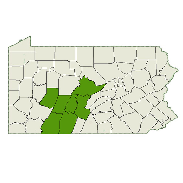 DogWatch of Central PA Service Area