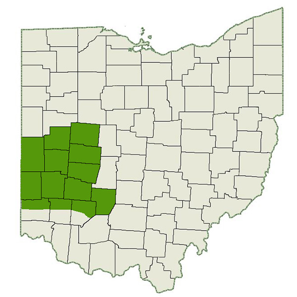 DogWatch of Dayton Service Area