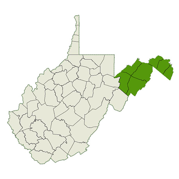 DogWatch of the West Virginia (WVA) Panhandle Service Area