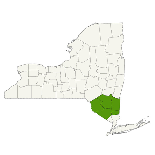 Hudson Valley DogWatch Service Area