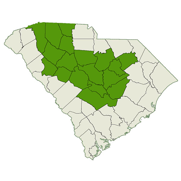Palmetto DogWatch Service Area