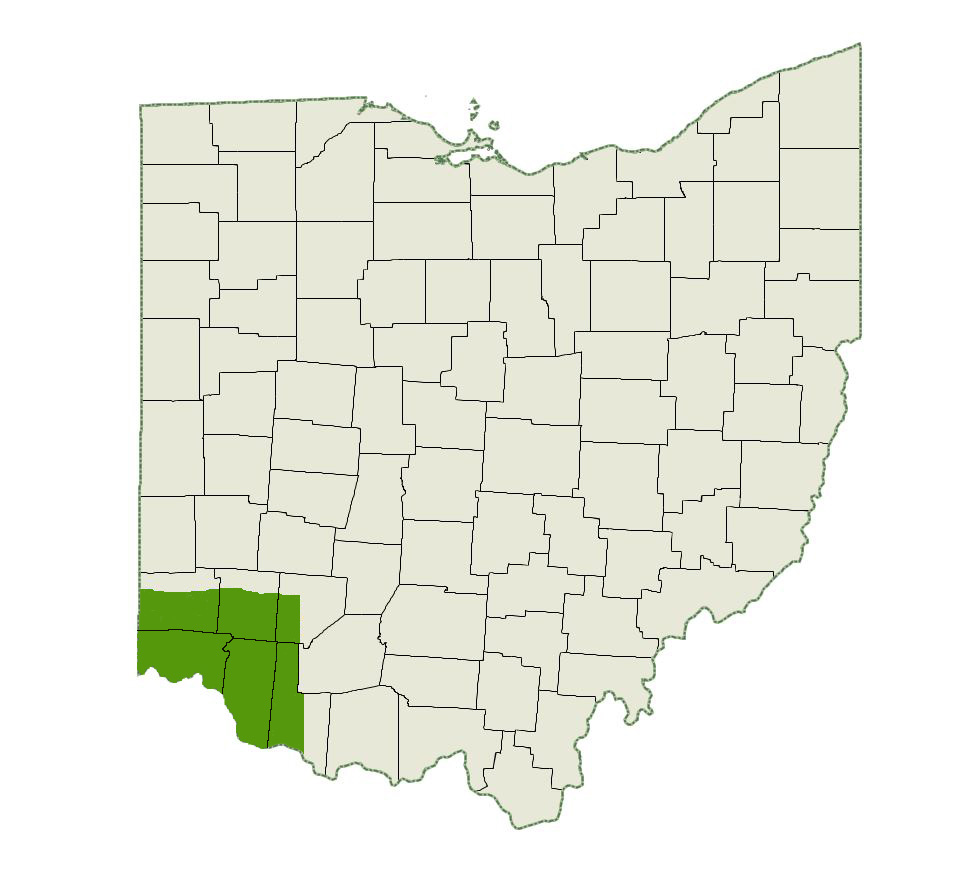 DogWatch of Greater Cincinnati Service Area