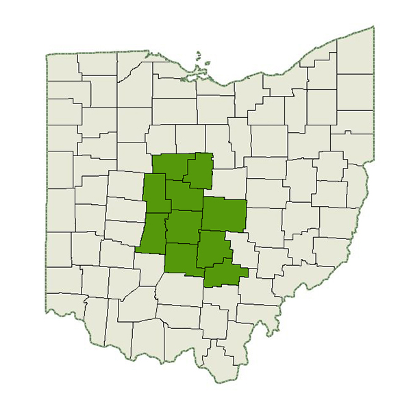 DogWatch of Columbus Service Area