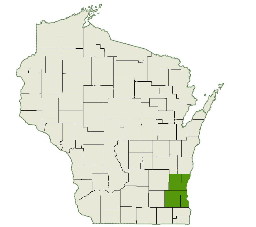 DogWatch of Southeast Wisconsin Service Area