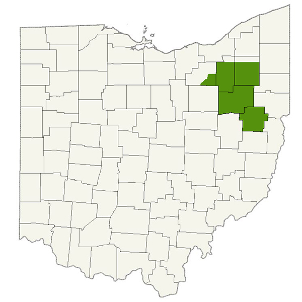 DogWatch of Northeast Ohio Service Area