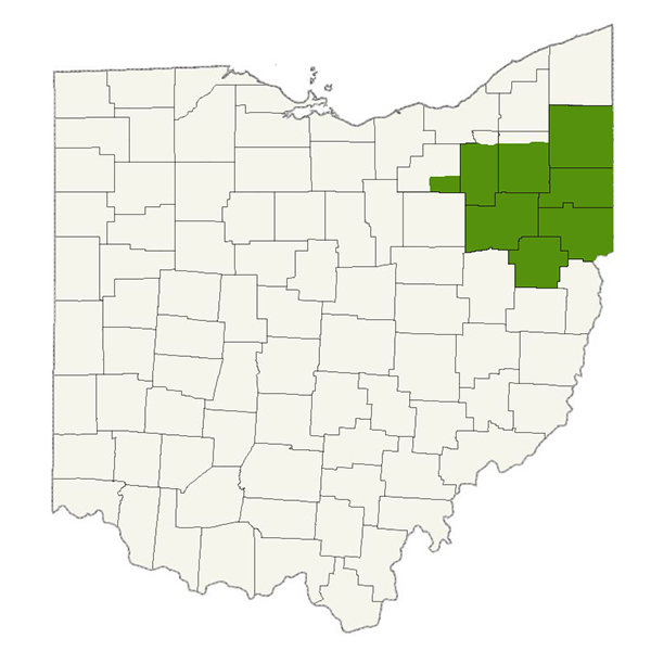 DogWatch of Northeast Ohio Service Area