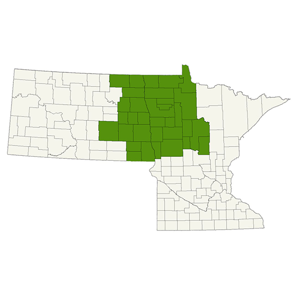 DogWatch of the Red River Valley Service Area