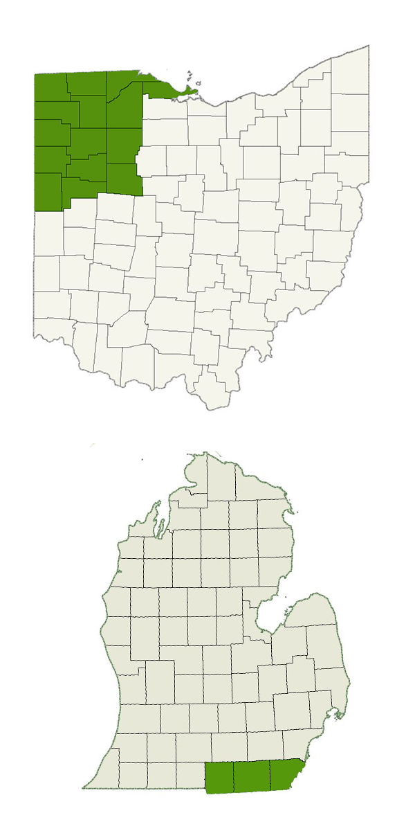 DogWatch of Toledo and Northwest Ohio Service Area