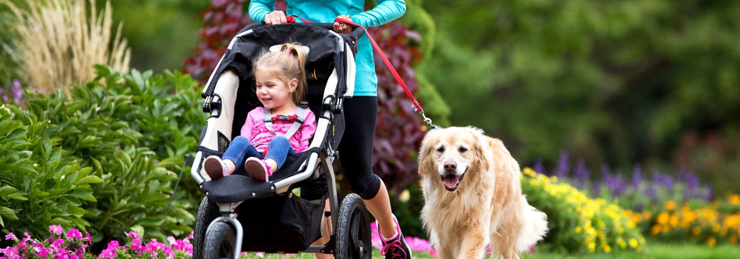 sidewalker leash trainer