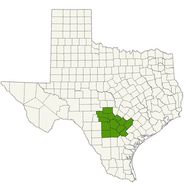 DogWatch of Greater San Antonio Service Area