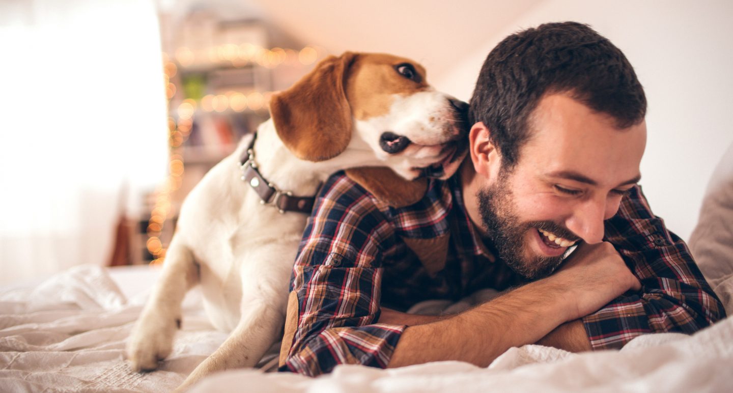 Reclaim your space with an Indoor Pet Fence Indoor Pet Fences