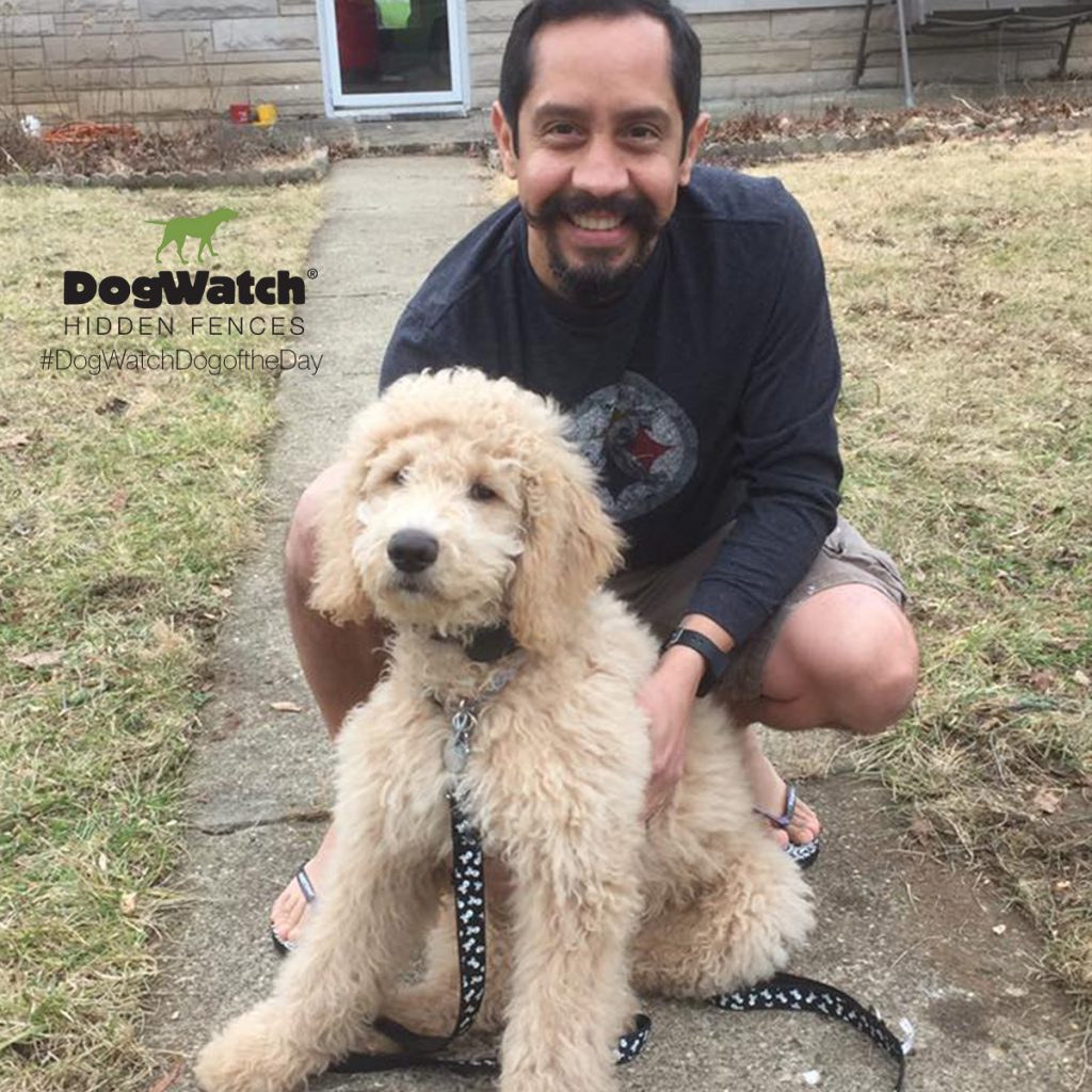 Tristán the Doodle with Dad