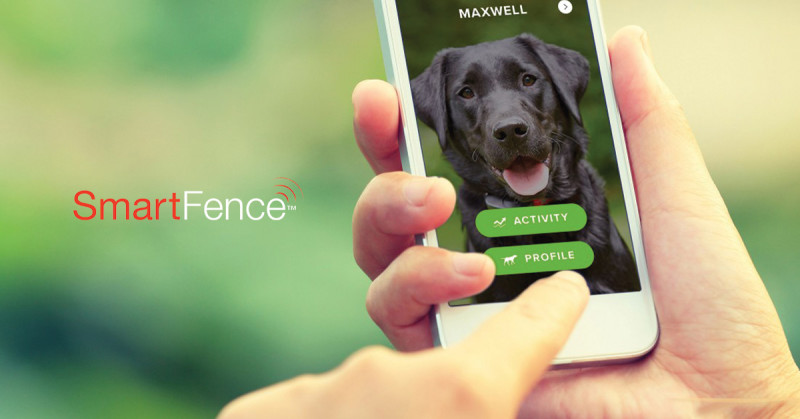 Introducing the SmartFence DogWatch