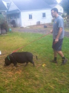 pig-with-owner-sv-225x300