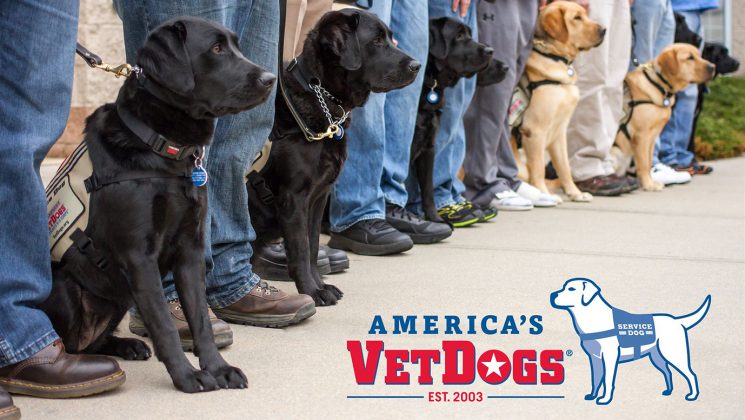 BlogDW-FeaturedImg-AVD2 Service dogs in training - Photo courtesy of America's VetDogs