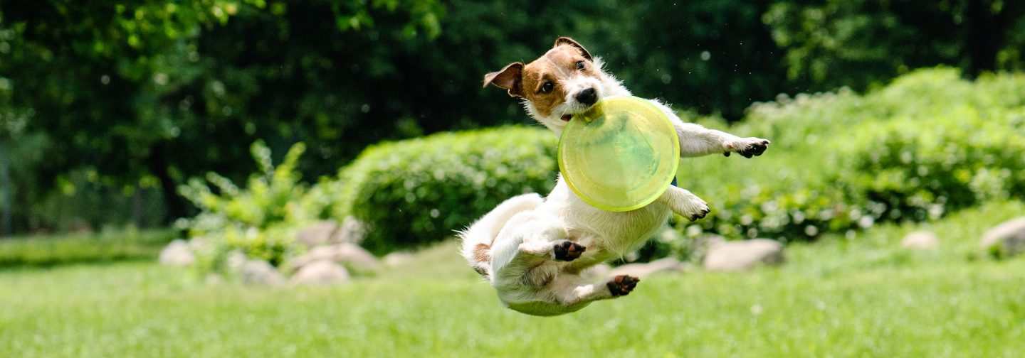 Returns Footer Image