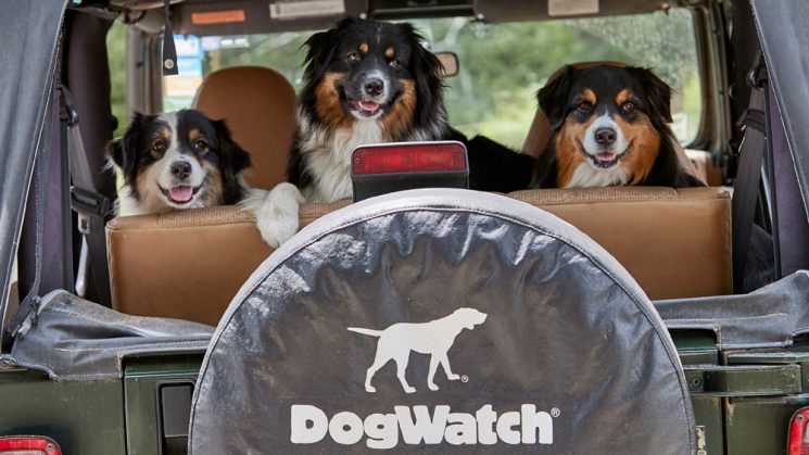 Meet the DogWatch Office Dogs DogWatch