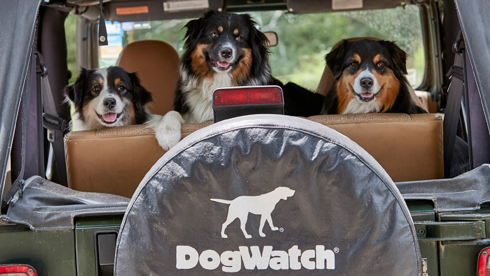 dogwatch meaning