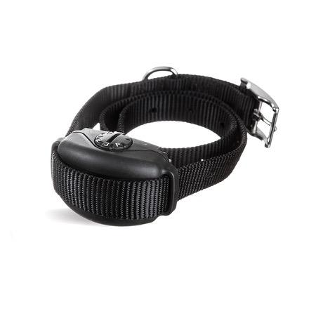 dog collar for pulling