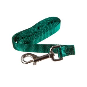 A green dog leash