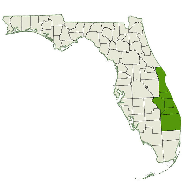 DogWatch of East Coast Florida Service Area